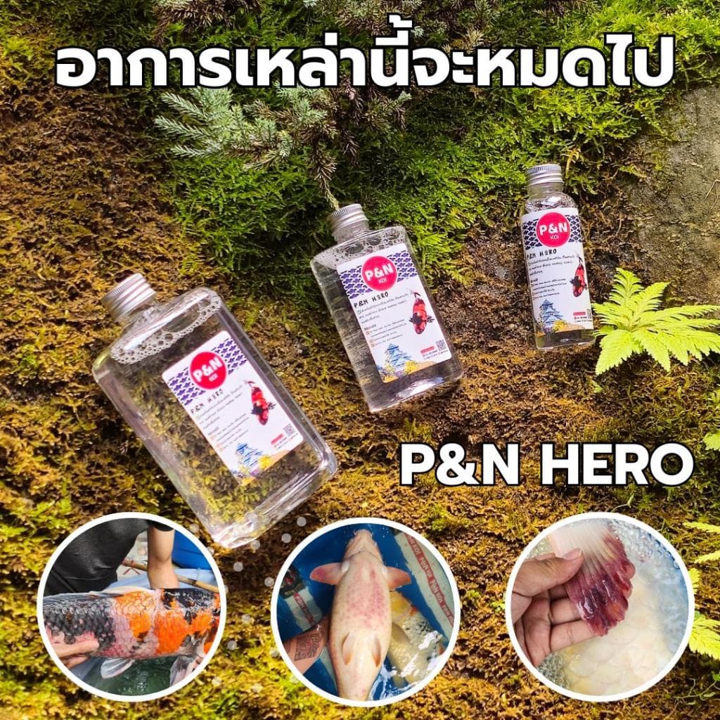 Hero ผลิตภัณฑ์สำหรับปลาคาร์ฟและปลาสวยงาม 100cc-500 cc รูปที่ 2