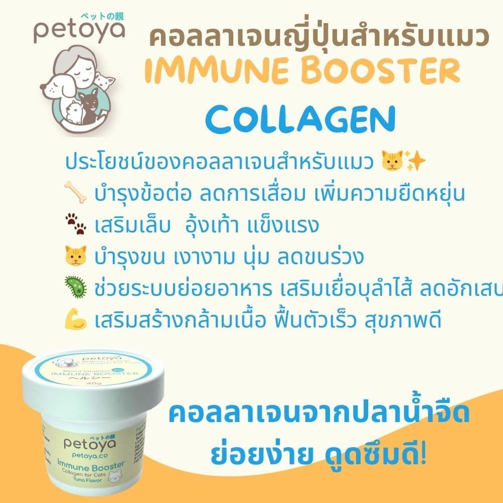 คอลลาเจนญี่ปุ่นสำหรับแมว สูตร IMMUNE BOOSTER เสริมภูมิ บำรุงครบสูตร รูปที่ 3