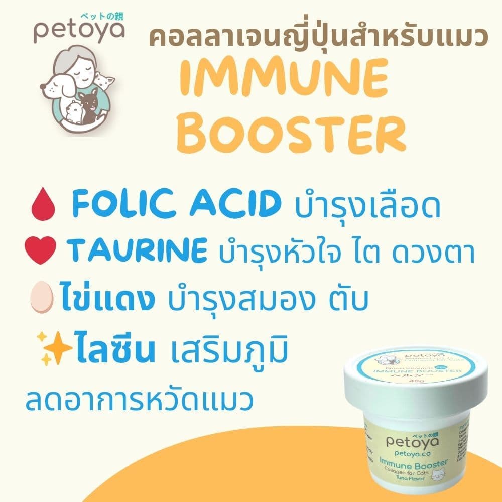 คอลลาเจนญี่ปุ่นสำหรับแมว สูตร IMMUNE BOOSTER เสริมภูมิ บำรุงครบสูตร รูปที่ 2