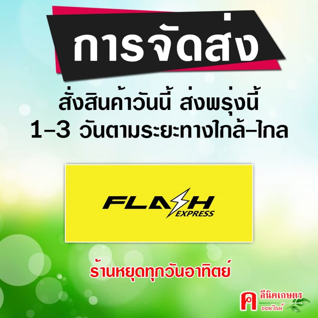 // ขายยกลัง //ไดเอิร์ท-ไดเมโทเอต ป้องกันกำจัดแมลง แมงกะแท้ แมงบิน หนอนเจาะ หนอนกอข้าว รูปที่ 5