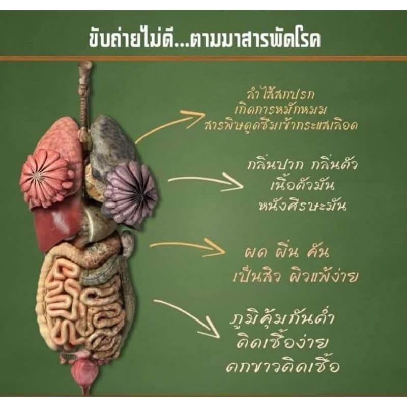 ไฟโตวีPHYTOVY ดีทอกซ์ธรรมชาติ 15ซอง รูปที่ 5