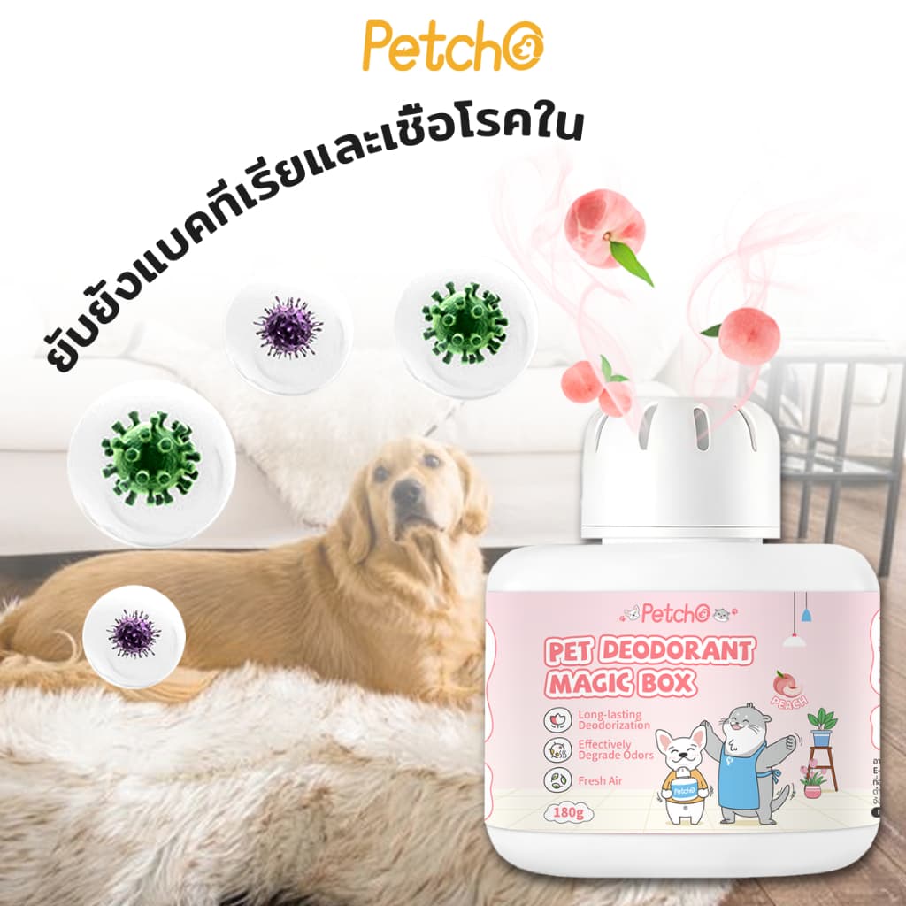 Petcho เพ็ท ดีโอโดแรนท์ เมจิก บ็อกซ์ กำจัดกลิ่นที่ต้นตอ อากาศสดชื่น กำจัดกลิ่นฉี่แมว กำจัดกลิ่นสุนัข รูปที่ 5