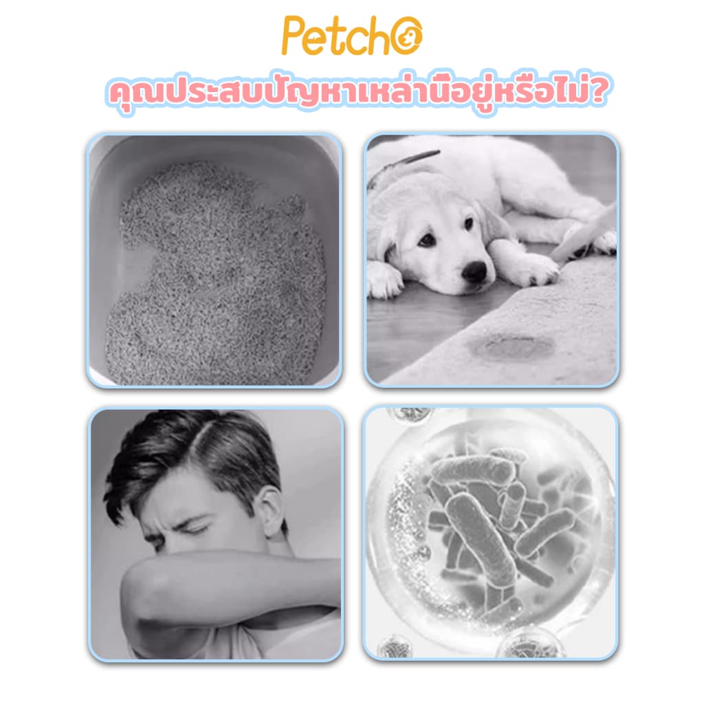 Petcho เพ็ท ดีโอโดแรนท์ เมจิก บ็อกซ์ กำจัดกลิ่นที่ต้นตอ อากาศสดชื่น กำจัดกลิ่นฉี่แมว กำจัดกลิ่นสุนัข รูปที่ 2