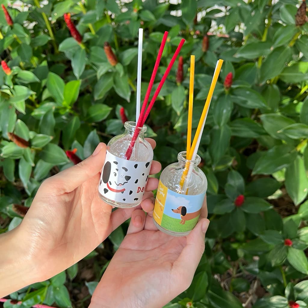 Dalmatian REED DIFFUSER scent Flory ก้านหอมคุณภาพดี หอมกระจายทั่วห้อง รูปที่ 4