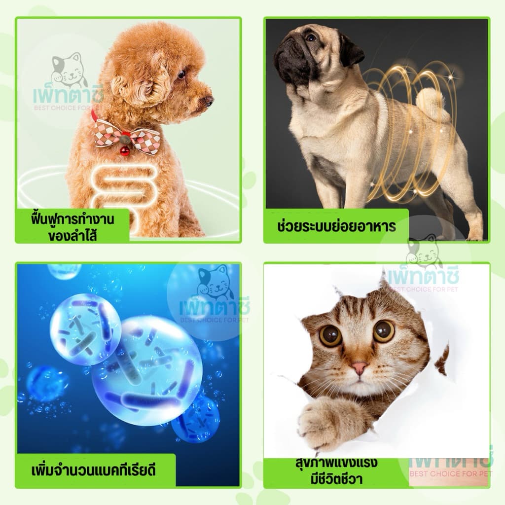 Oimmal 3-in-1 Probiotic โปรไบโอติค สุนัข แมว ระบบย่อย เพิ่มแบคทีเรียดี ท้องเสีย ท้องอืด ปรับลำไส้ รูปที่ 4