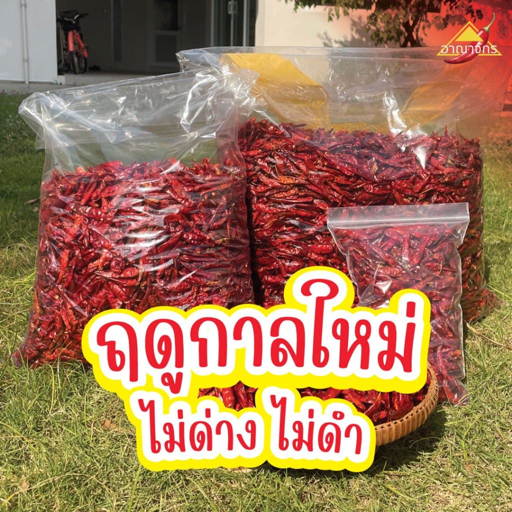 พริกแห้ง จินดา 5 กก. เม็ดอวบ ทำน้ำพริก ทำพริกแกง ทำพริกป่น และ อาหารอื่นๆ รูปที่ 4