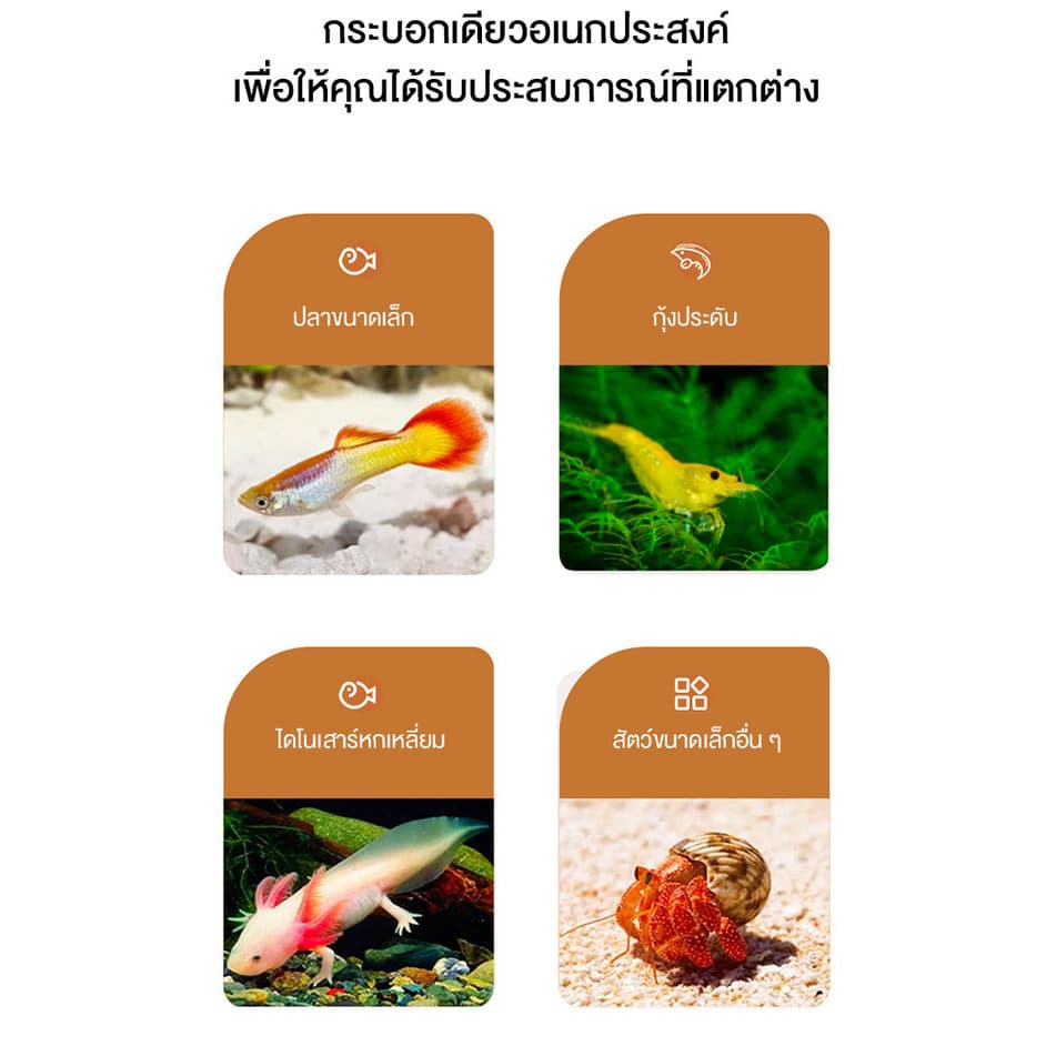 ปลาสวยงาม, ตู้ปลาขนาดเล็ก AS มีฝาปิดป้องกันปลากระโดดออกมา สามารถใช้สำหรับการจัดเก็บ วางอาหารปลา รูปที่ 4
