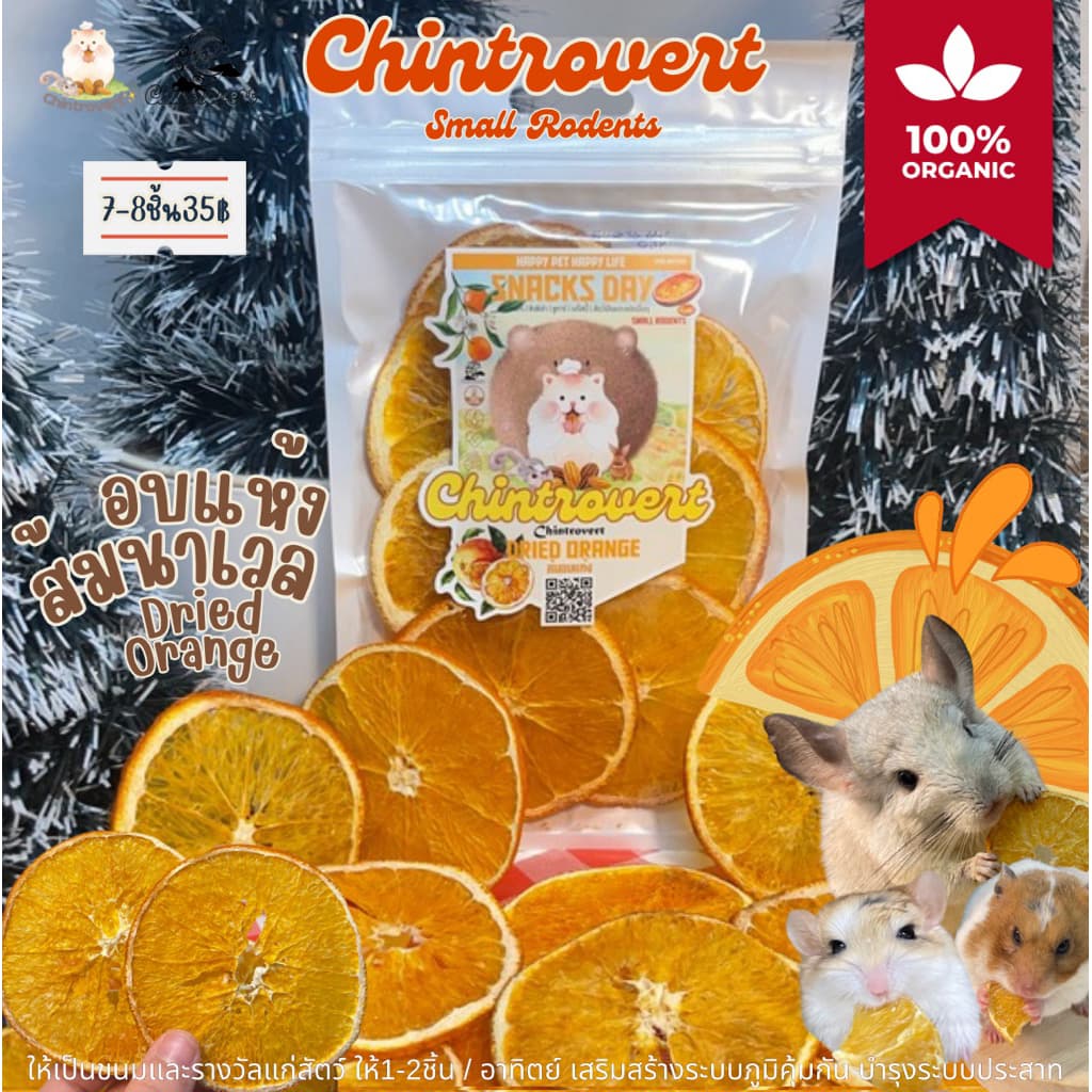 Chintrovert | Dried Oranges ส้มอบแห้ง เกรดคนทานได้ | กระต่าย ชินชิล่า แฮมเตอร์ แกสบี้ สัตว์ฟันแทะ รูปที่ 2