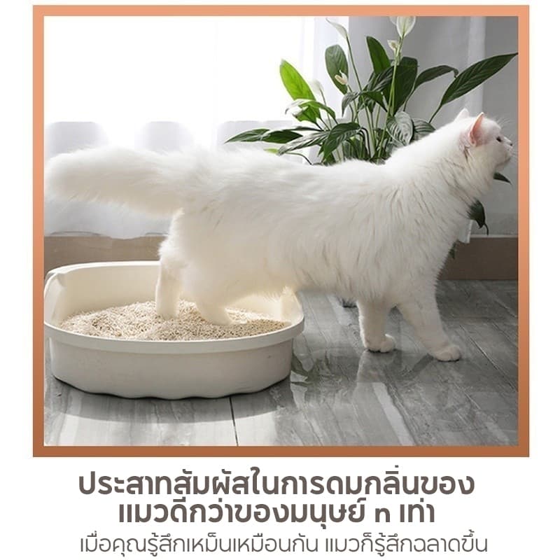 Cuttie Pettie เม็ดหอมดับกลิ่น อึแมว ฉี่แมว เม็ดดับกลิ่น ดับกลิ่นทรายแมว ที่ระงับกลิ่น ที่ดับกลิ่นอึแมว ที่ดับกลิ่นฉี่แมว รูปที่ 9
