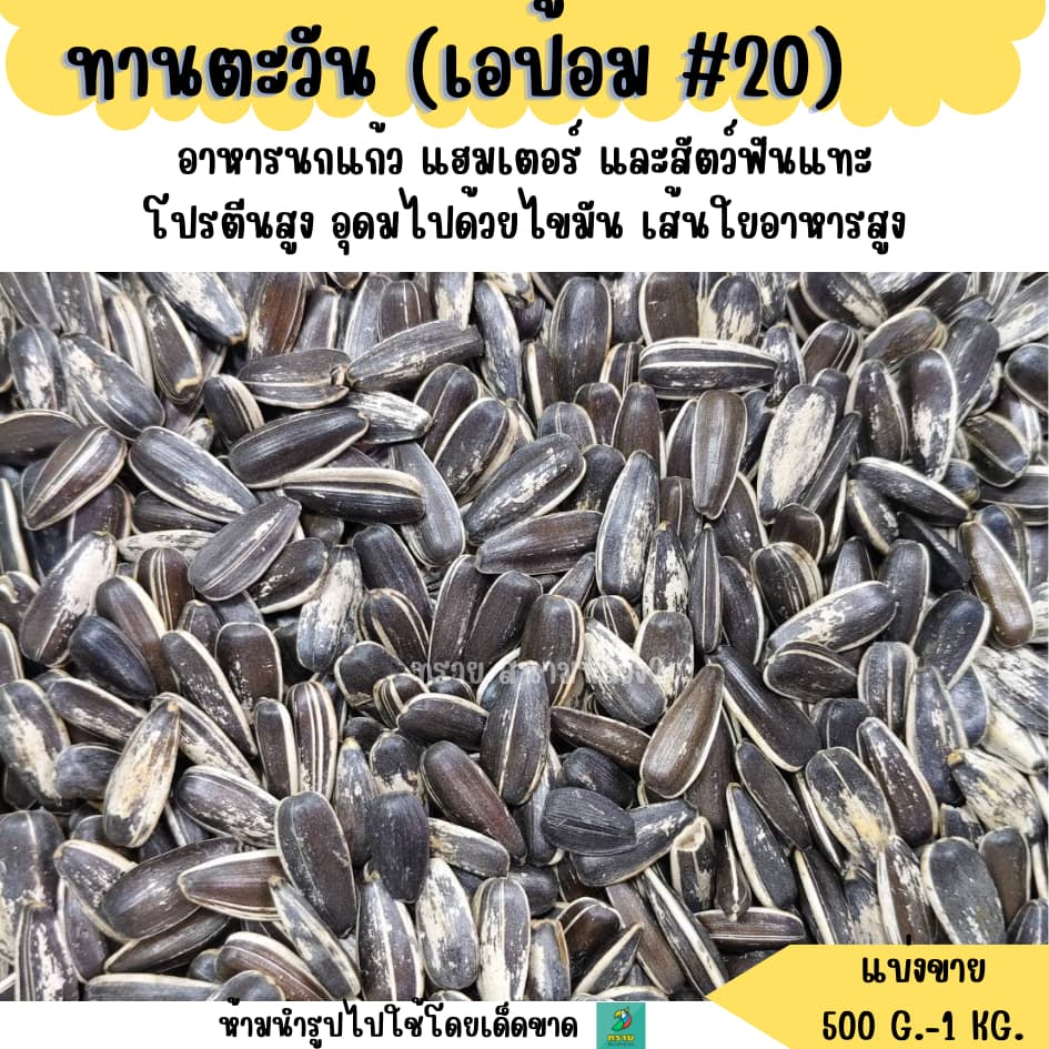 #20 ทานตะวัน เอป้อม เบอร์20 อาหารนกแก้ว อาหารแฮมเตอร์ และสัตว์ฟันแทะ รูปที่ 1
