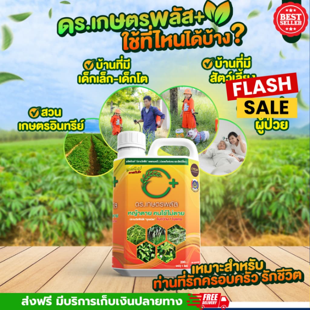 ปราบหญ้าทุกชนิดไม่มีสารเคมี ยาฆ่าหญ้า 1แกลลอน บรรจุ 1ลิตร ปลอดภัยต่อคนและสัตว์ รูปที่ 7