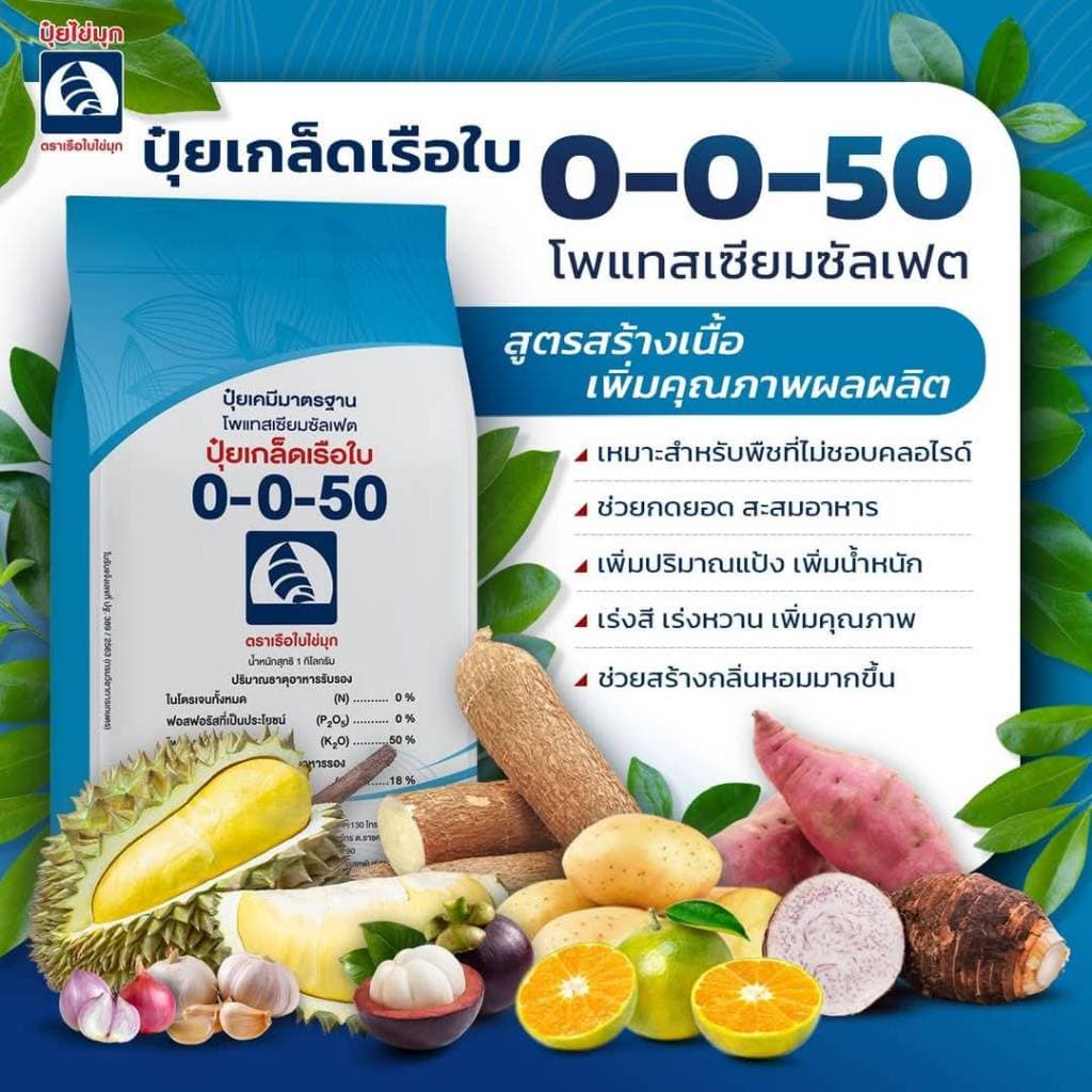 ปุ๋ยเกล็ดคุณภาพสูงเรือใบไข่มุก 0-0-50 ขนาด1กก เพิ่มความหวาน ขยายผล เพิ่มน้ำหนัก สะสมอาหาร รูปที่ 1