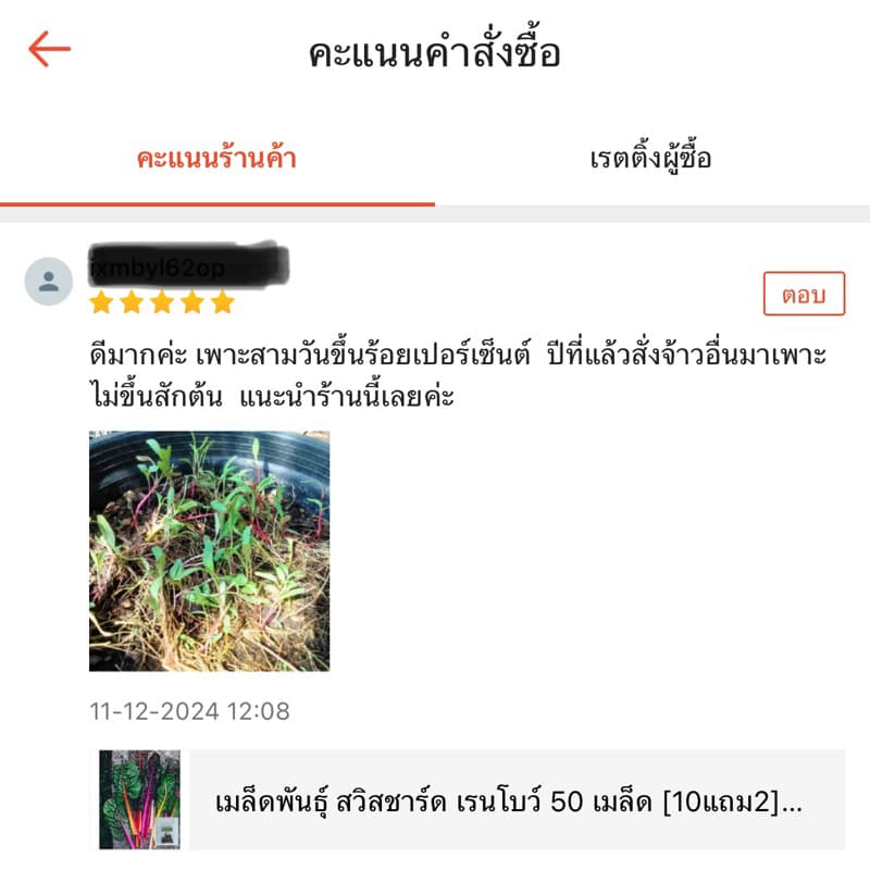 เมล็ดพันธุ์ สวิสชาร์ด เรนโบว์ 40 เมล็ด คละได้ รูปที่ 6