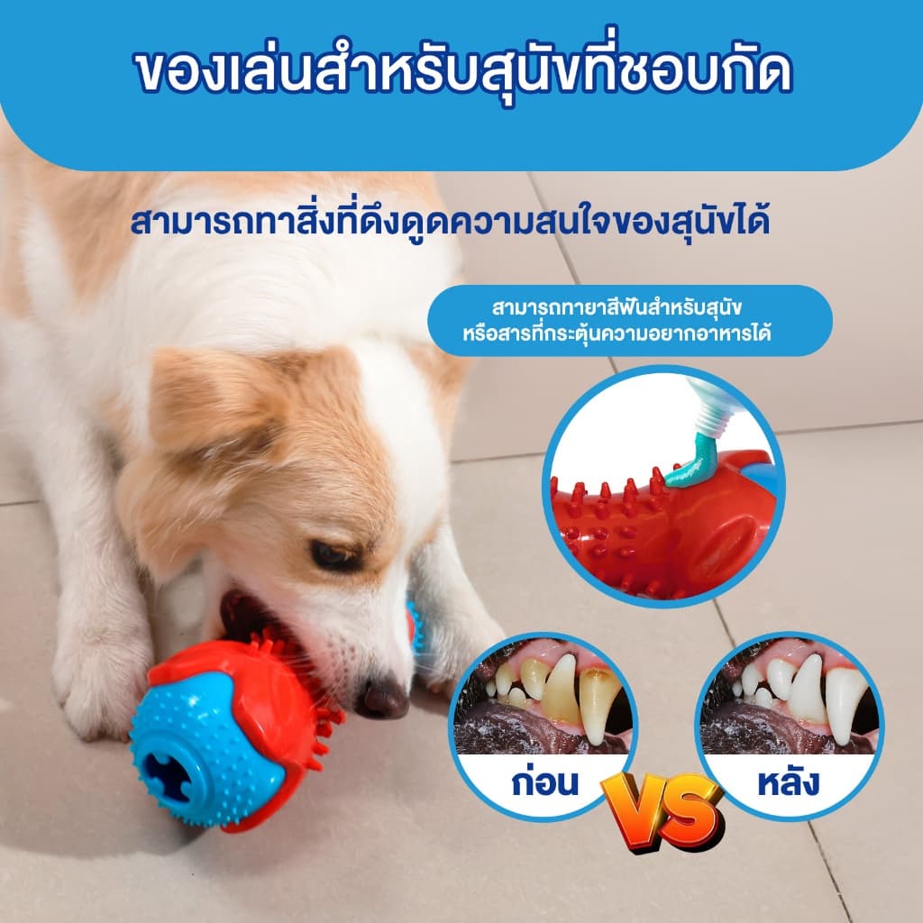 MOMOVIDA ของเล่นสัตว์เลี้ยง ของเล่นยางกัด ของเล่นให้อาหารสัตว์ ทนต่อการกัด ช่วยขัดฟัน ฝึกทักษะ ของเล่นสุนัข รุ่น DF-1 รูปที่ 4