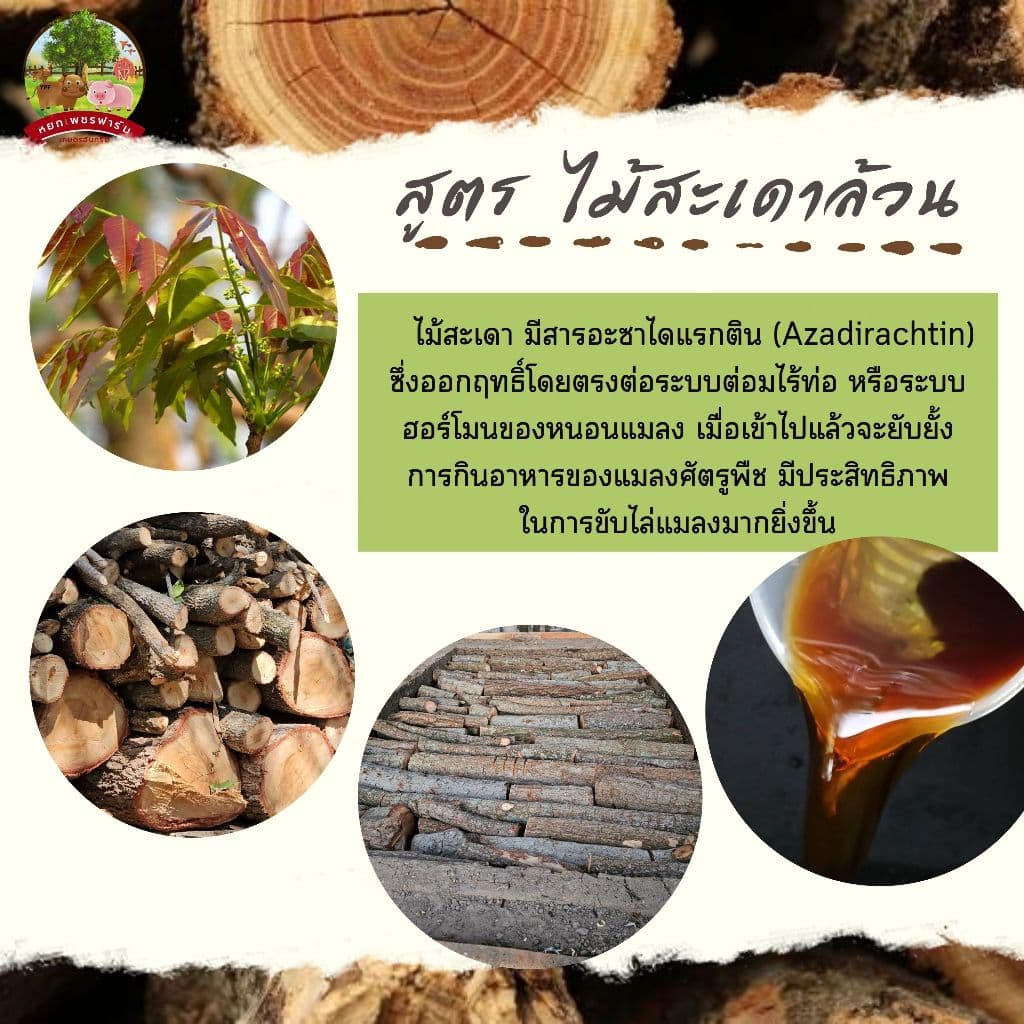 น้ำส้มควันไม้ 600ml. จากไม้สะเดาแท้100% ดับกลิ่น ไล่แมลงศัตรูพืช เห็บ หมัด ไร เชื้อรา **หยกเพชรฟาร์ม** รูปที่ 3