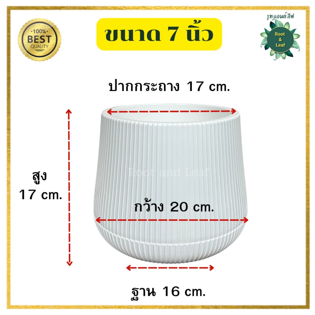 กระถางเบลล่าลายลูกฟูก กระถางพลาสติกมินิมอล ลายใหม่ลายเส้นลูกฟูก ขนาด 9 นิ้ว และ 11 นิ้ว เหมาะสำหรับตกแต่งบ้านแต่งคอนโด รูปที่ 7
