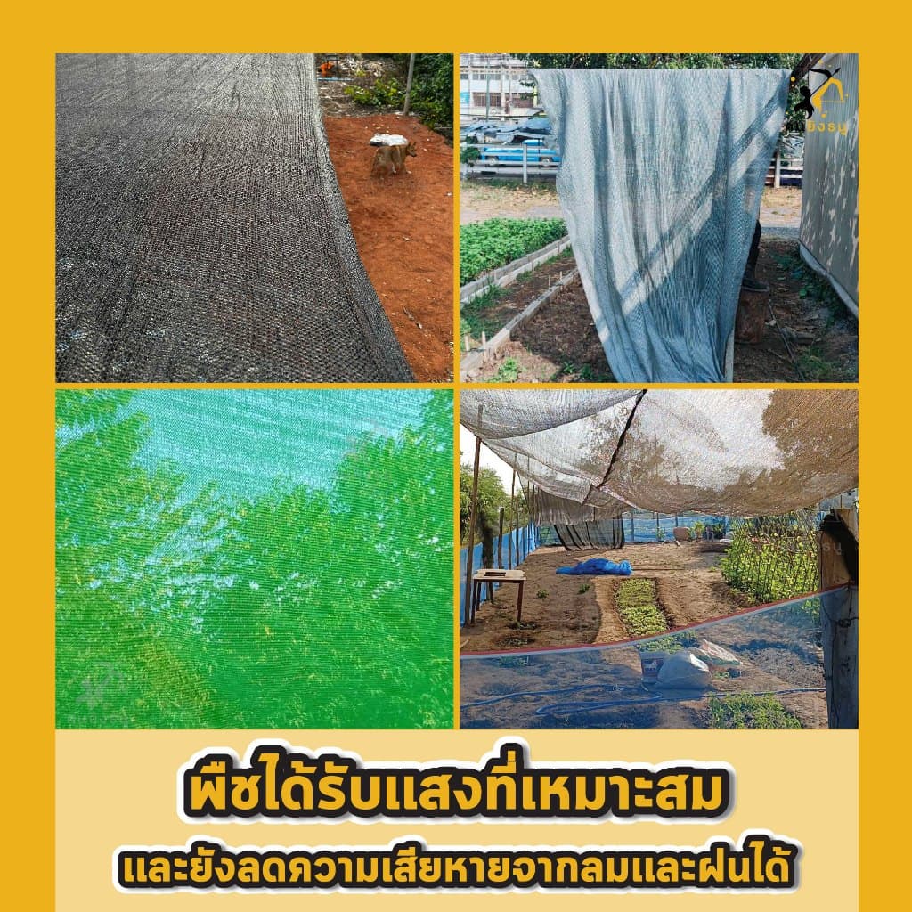 สแลนกันแดด ตาข่ายกรองแสง ผ้าสแลน สแลนบังแดด สแลนกรองแสง ตราคนยิงธนู รูปที่ 8