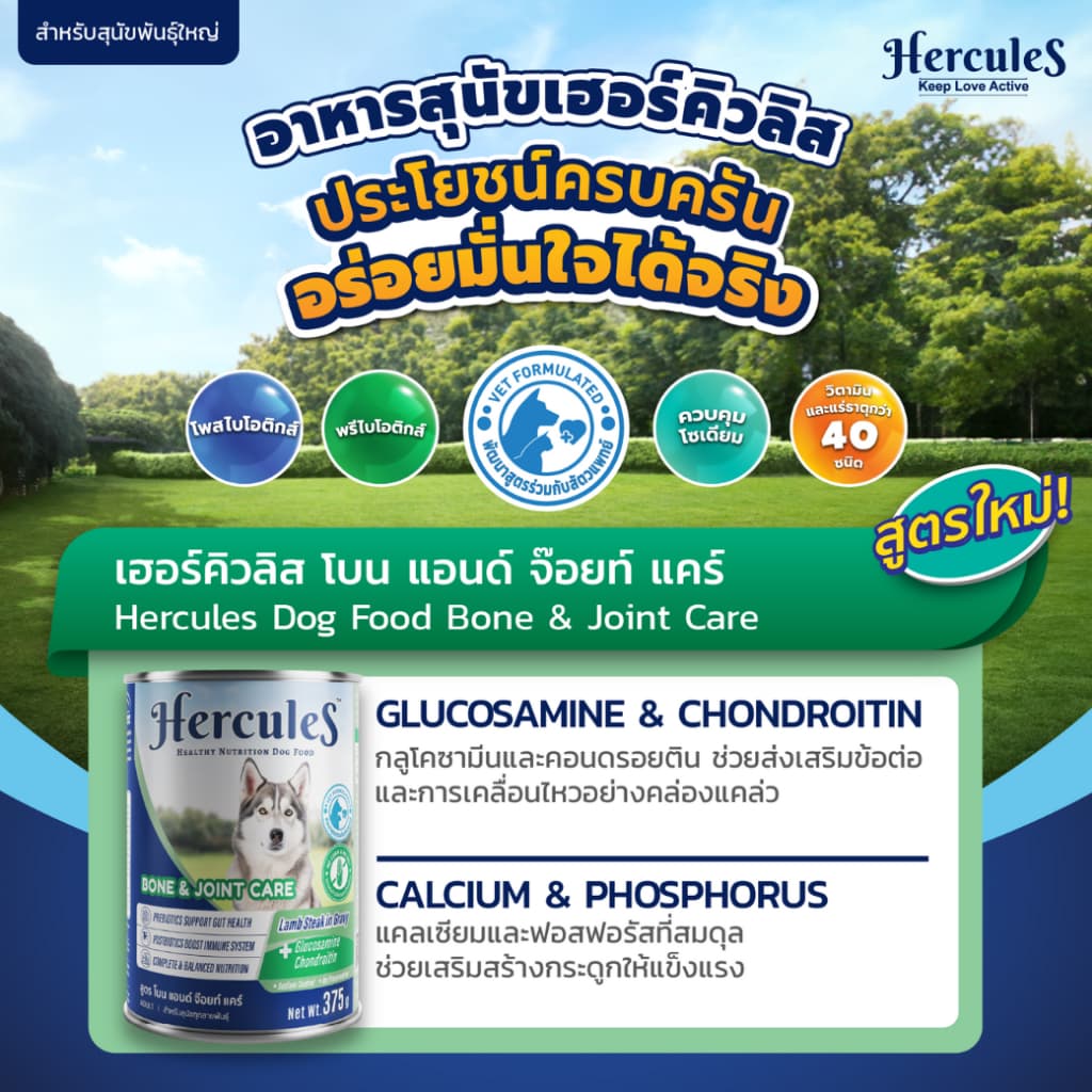 Hercules เฮอร์คิวลิส อาหารสุนัข กระป๋อง ขนาด 375 กรัม รูปที่ 8