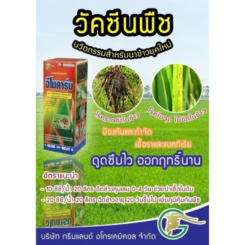 จีโมคาร์บ⭕สารโพรพาโมคาร์บ 72.2%SLขนาด 1 ลิตรเก่งโรครากเน่าโคนเน่า เน่าดำ เน่าเข้าไส้ ไฟทอปธอรา รูปที่ 5