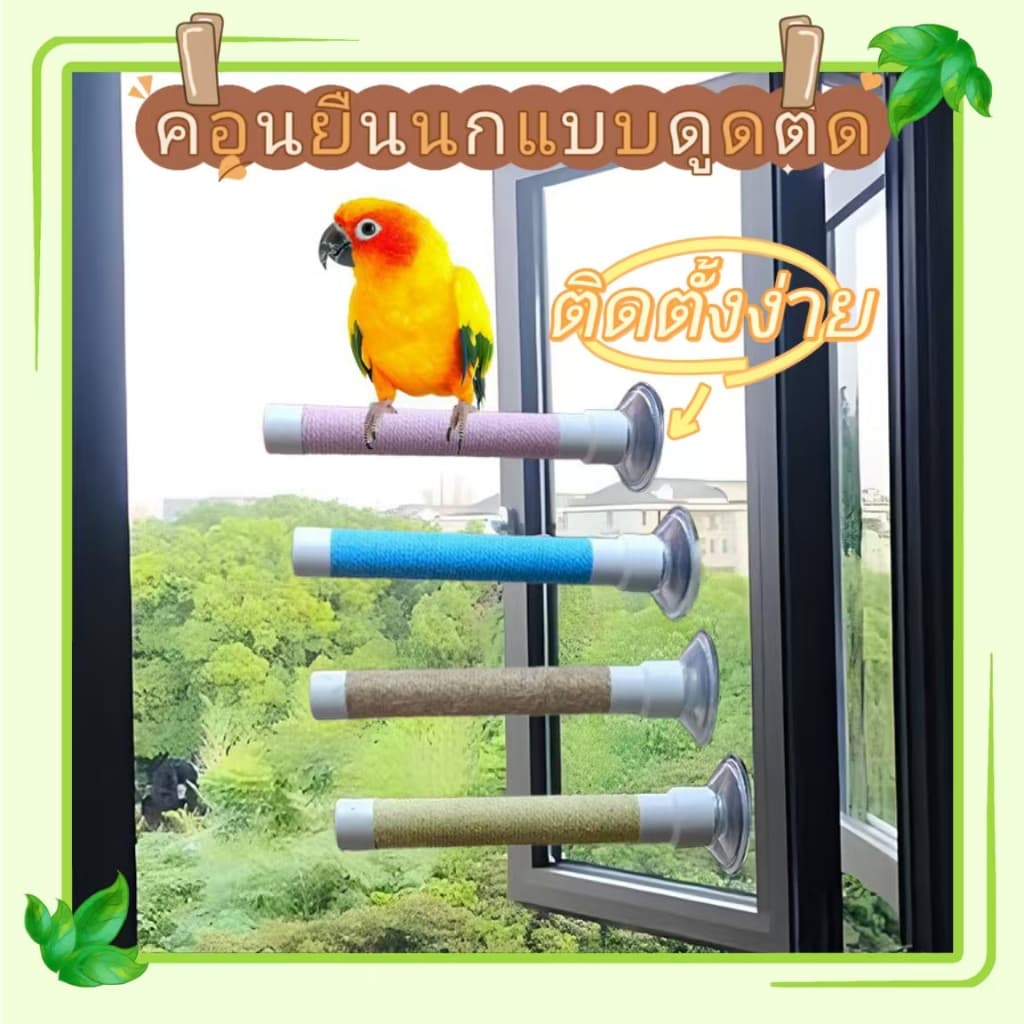 คอนยืนนก คอนยืนนกแก้ว คอนยืนแบบดูดติด ของเล่นนก สามารถติดตั้งบนกระจกหรือกระเบื้องได้ ติดตั้งง่าย รูปที่ 1