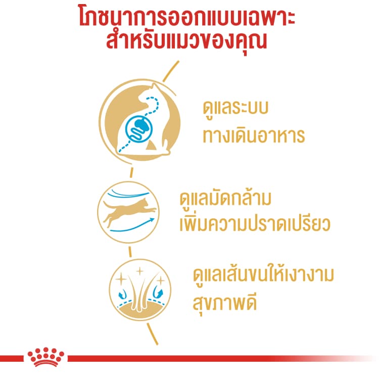 Royal Canin Bengal Adult อาหารแมว แมวโต รอยัลคานิน ตัวแน่น พันธุ์ เบงกอล 2 kg รูปที่ 3