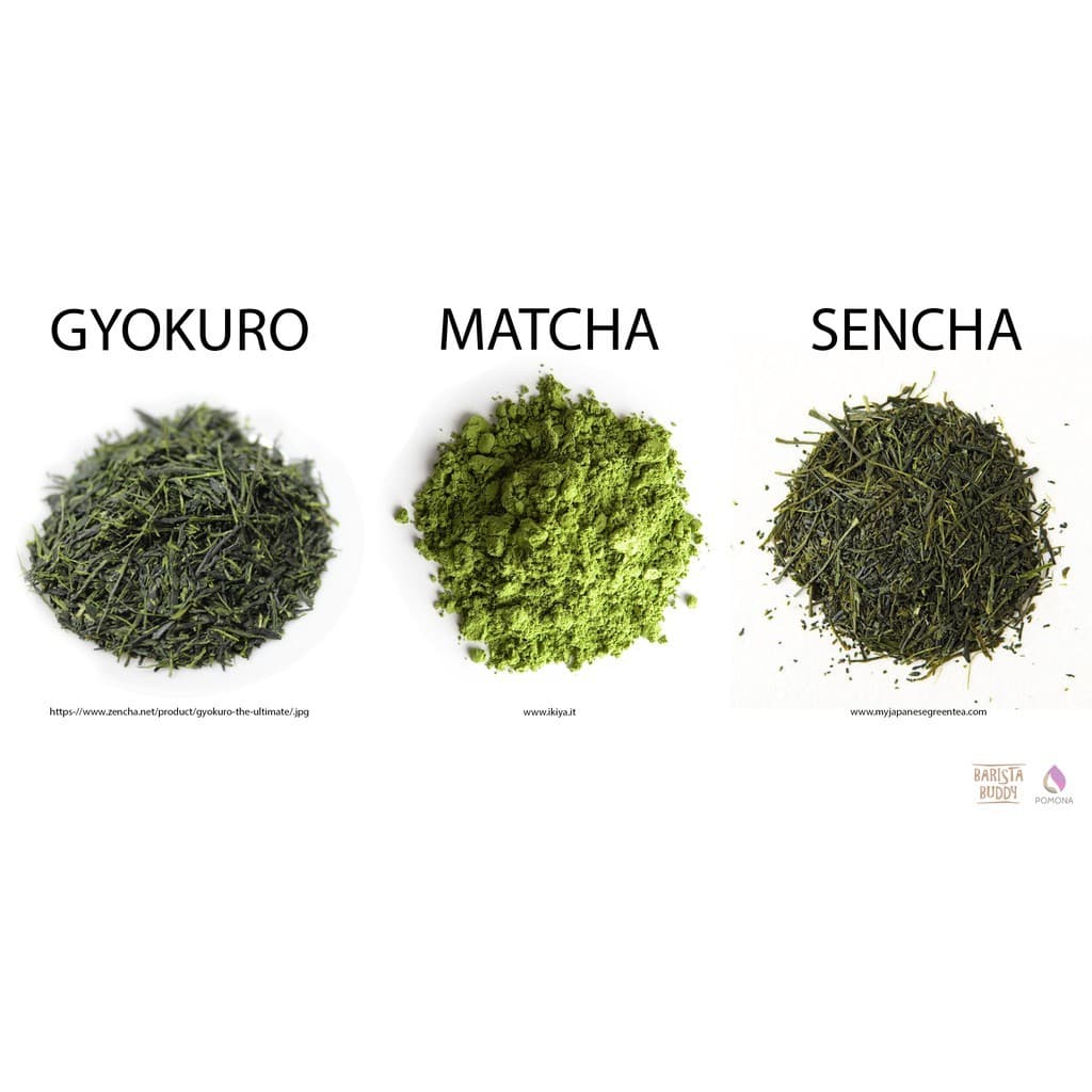 มัทฉะเกรดพิธีการUjinotsuyu Matcha Mutsucha Hagoromo #1250 Premium Made in Japan 100% อูจิโนะซึยุ ขนาดพกพา 20G รูปที่ 7