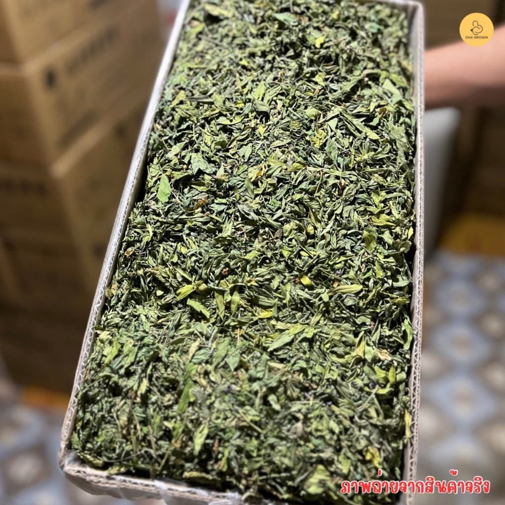 หญ้ากระต่าย หญ้าอัลฟาฟ่าอบลมร้อน Super Premium Alfalfa Grass ขนาด 1Kg. ใบล้วน รูปที่ 3
