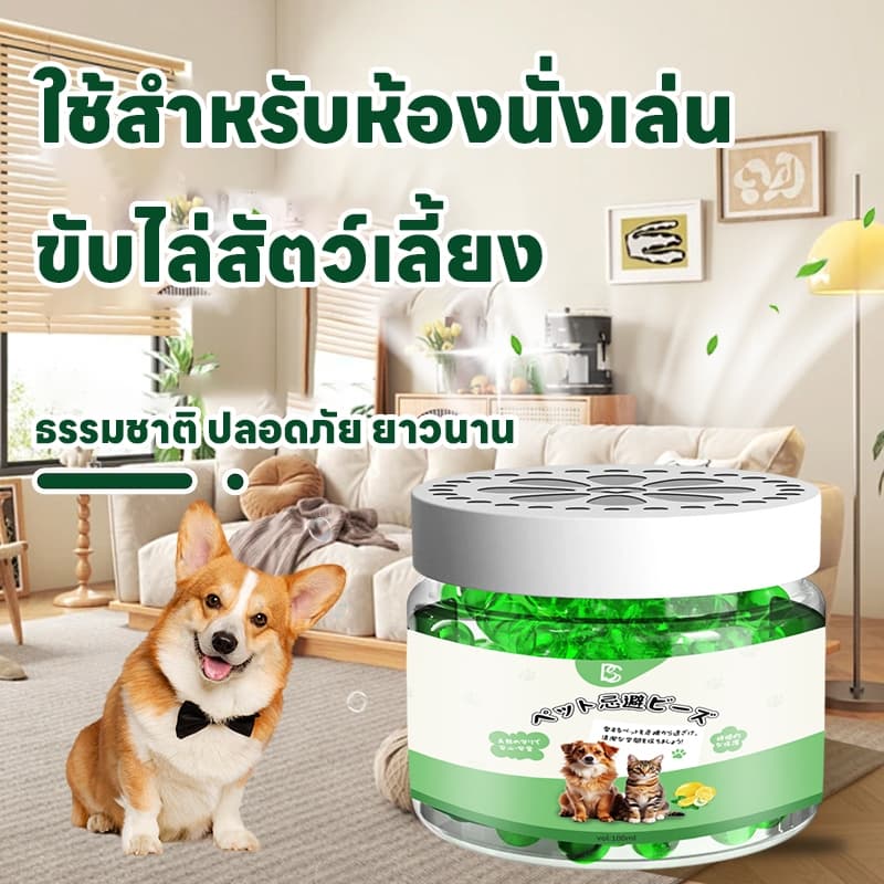 แมวหายไปใน 1 วินาทีSKy ไล่แมว กลิ่นไล่แมว สเปรไล่แมว ไล่แมวขี้ ยาไล่แมว ที่ไล่แมว ซื้อ 1 แถม 1 ใช้งานได้ถึง 360 วัน รูปที่ 3