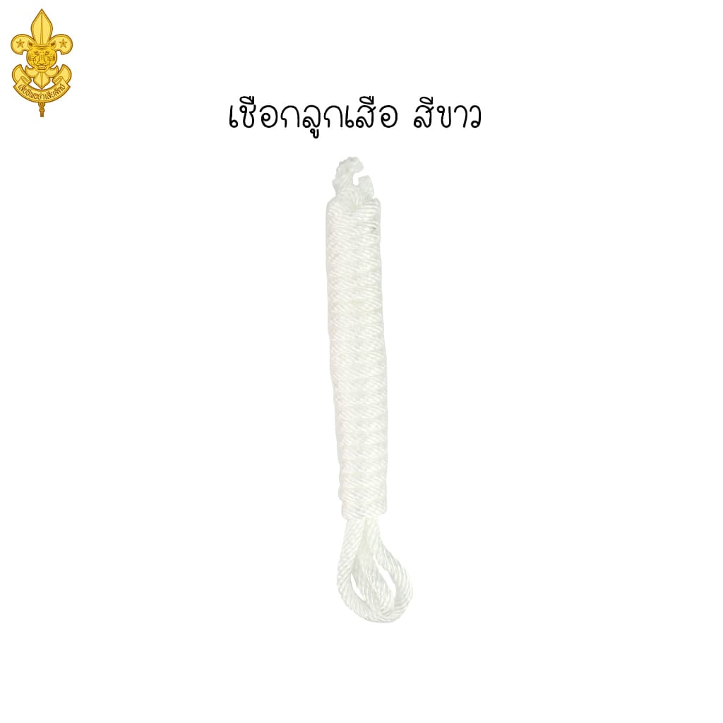 เครื่องแบบ ลูกเสือสามัญรุ่นใหญ่ ม.1-ม.3 หมวกลูกเสือ และเครื่องหมายต่างๆ ขอบิลเบิกโรงเรียนทางช่องแชท รูปที่ 9