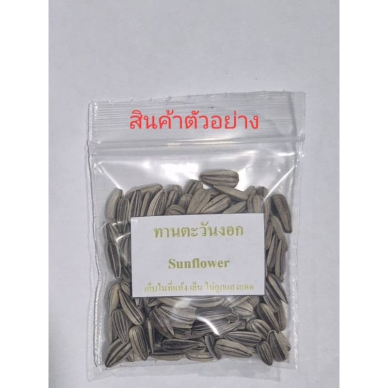 เมล็ดทานตะวันอ่อน10 กรัม รูปที่ 6