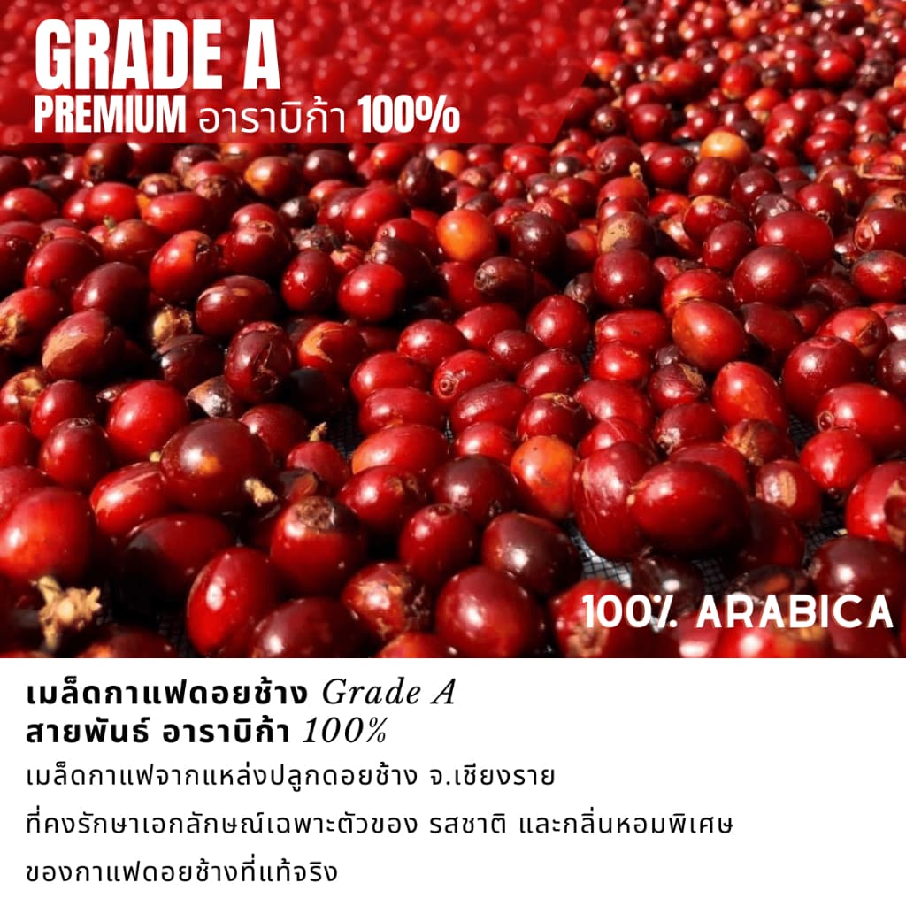 เมล็ดกาแฟสด คั่วใหม่ กาแฟปางขอนเกรดAของแท้ Pangkhon อราบิก้า 100% เมล็ดกาแฟคั่วเข้ม คั่วเข้มมาก ราคาโรงคั่ว ขนาด500กรัม รูปที่ 5
