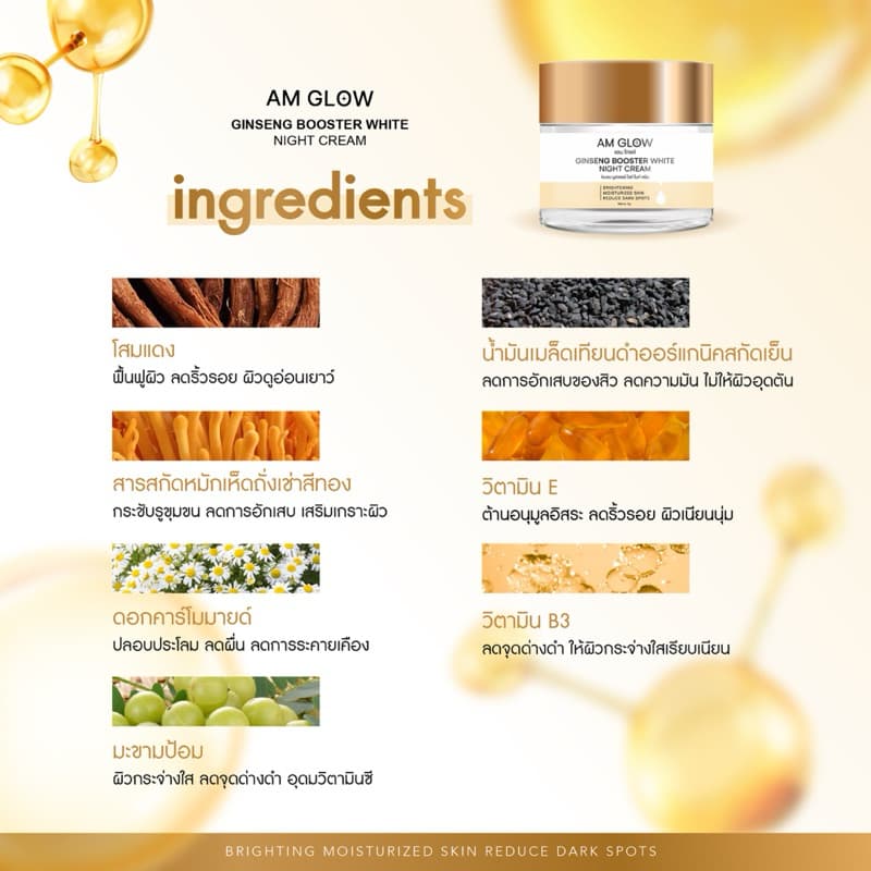 1 กระปุก AM GLOW Ginseng Booster White Night Cream ครีมวิตามินโสมถังเช่า รูปที่ 4