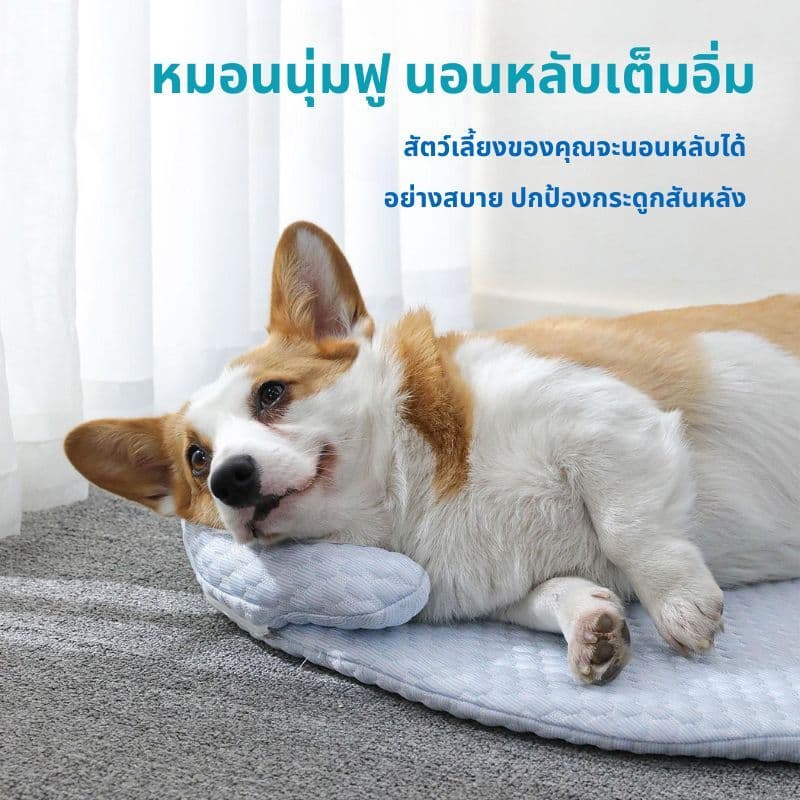 ที่นอนสำหรับสัตย์เลี้ยง สำหรับน้องหมาน้องแมว ที่นอนระบายอากาศ มี3ขนาด มีเนื้อผ้าที่ดี BJ3 รูปที่ 4