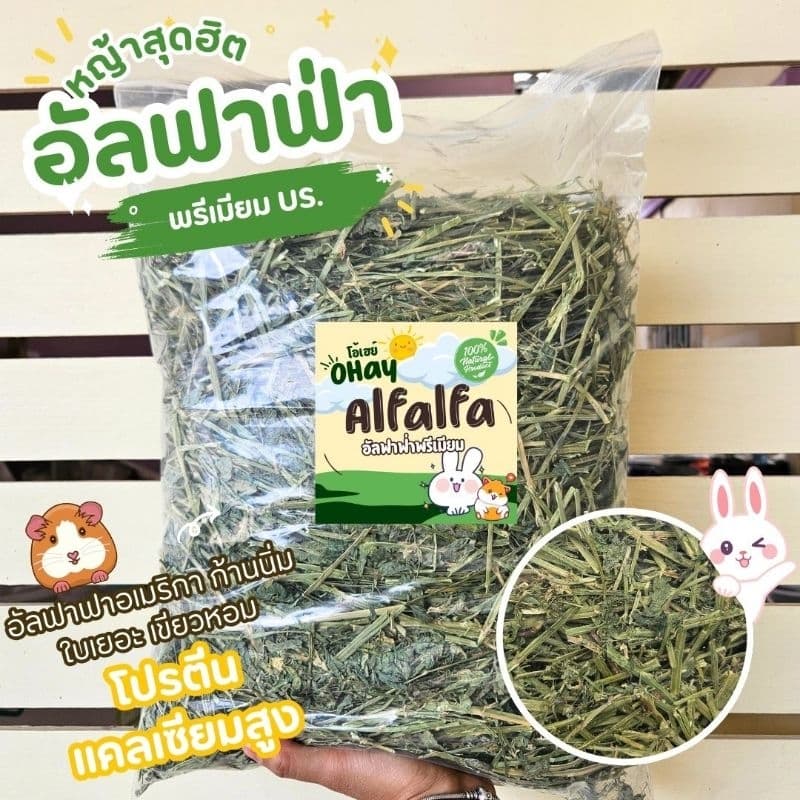 Ohay หญ้ากระต่ายโปรสุดคุ้ม 5 โล 10 โล หญ้าทิมโมธีคัท 1 อัลฟาฟ่า และทิโมธีคัท 3 รูปที่ 8