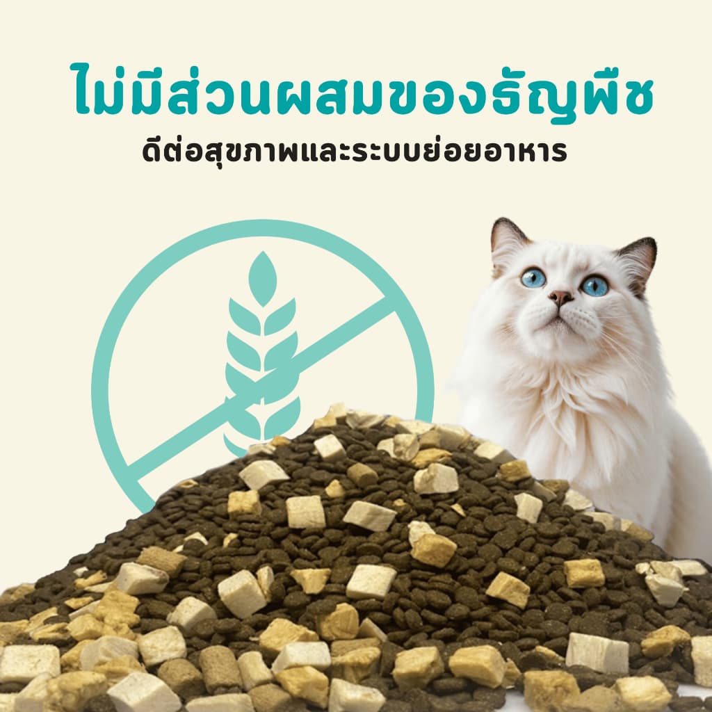 Bite Of Wild P42 อาหารแมว 1KG Grain Free โปรตีน 42% 3 เนื้อฟรีซดราย ไก่ปลาแซลมอนเนื้อปลา สำหรับแมวทุกช รูปที่ 3