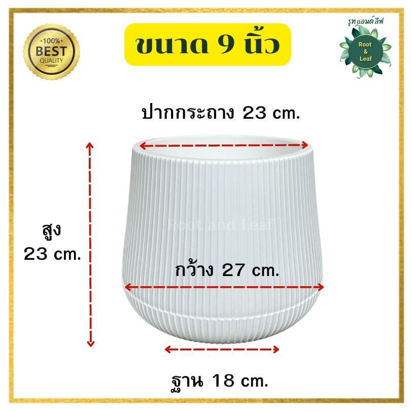 กระถางเบลล่าลายลูกฟูก กระถางพลาสติกมินิมอล ลายใหม่ลายเส้นลูกฟูก ขนาด 9 นิ้ว และ 11 นิ้ว เหมาะสำหรับตกแต่งบ้านแต่งคอนโด รูปที่ 8