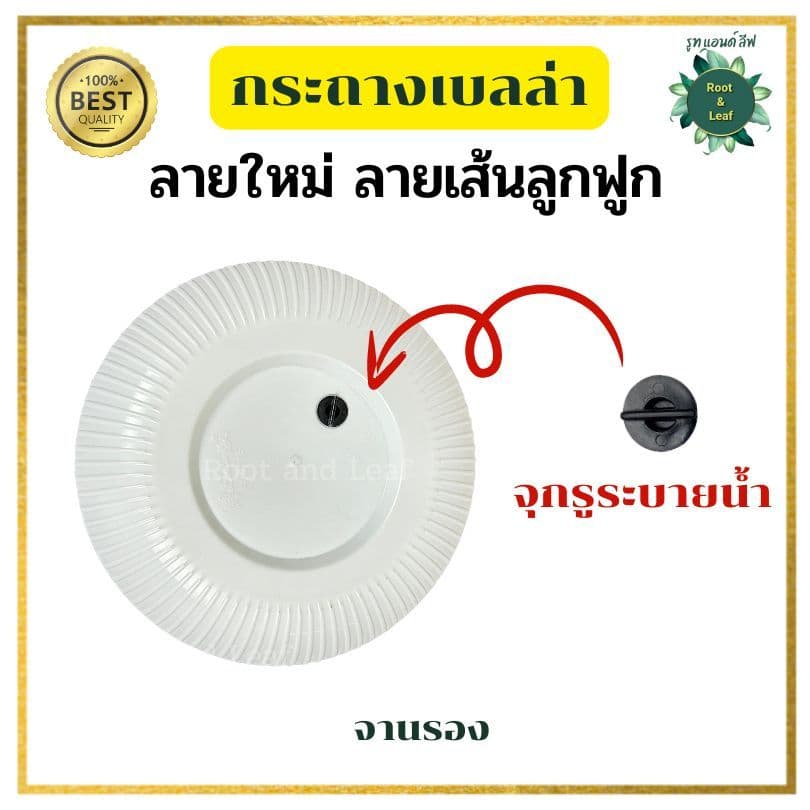 กระถางเบลล่าลายลูกฟูก กระถางพลาสติกมินิมอล ลายใหม่ลายเส้นลูกฟูก ขนาด 9 นิ้ว และ 11 นิ้ว เหมาะสำหรับตกแต่งบ้านแต่งคอนโด รูปที่ 5