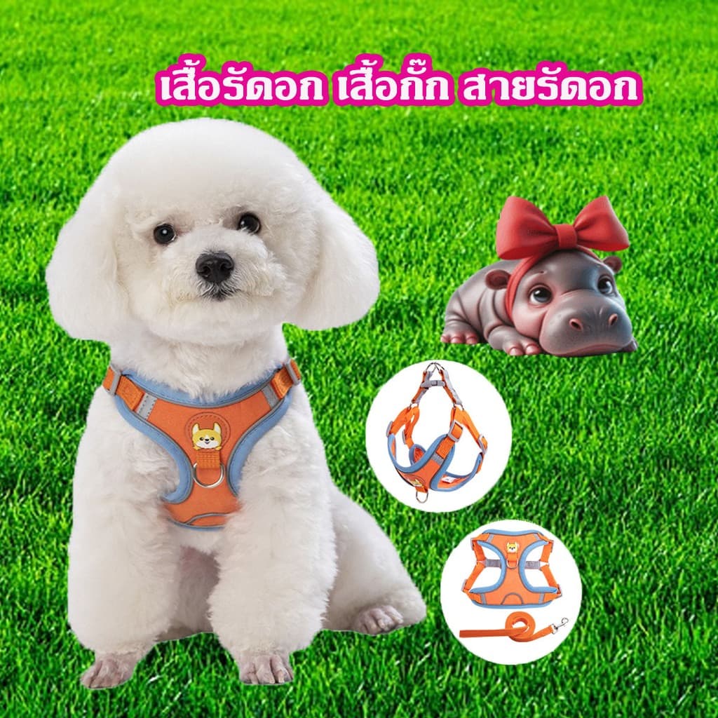 Thai.th เสื้อรัดอก เสื้อกั๊ก สายรัดอก ชุดรัดอก สุนัข หมา แมว พร้อมสายจูง แบบสวมใส่ง่าย มีหลายสี X13 รูปที่ 9