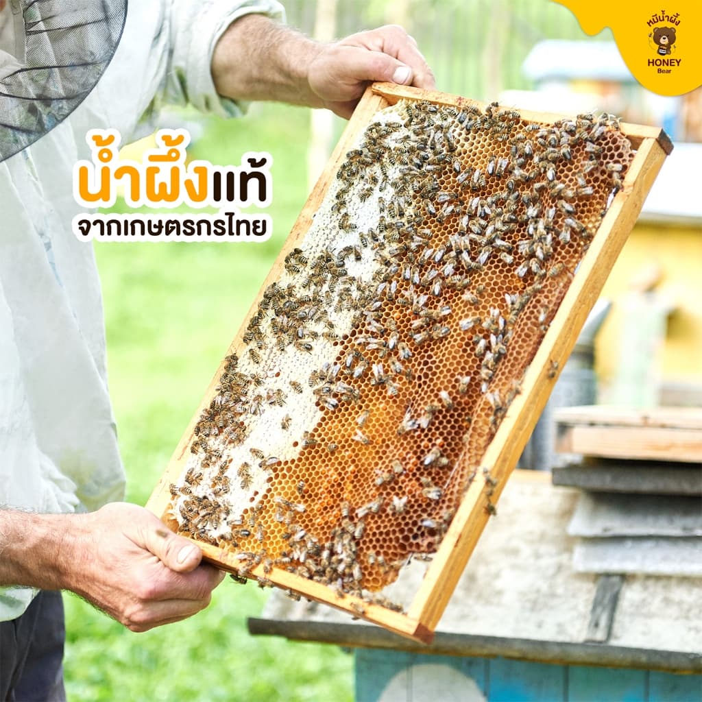 น้ำผึ้งเกสรดอกไม้ป่า HONEY BEAR 1000 กรัม น้ำผึ้งแท้ 100% ไม่มีสารกันบูด ไม่ผสมน้ำตาล มาตรฐาน อย.HACCP HALAL รูปที่ 8