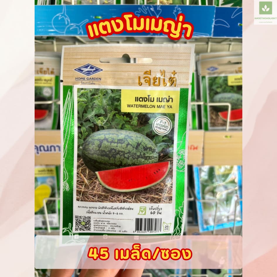 ซองเล็ก มีครบ เมล็ดพันธุ์แตงโม เจียไต๋ ซอนญ่า เมญ่า ทัมอัพ แบล็คบอมบ์ รันรัน แตงโมไร้เมล็ด รูปที่ 3