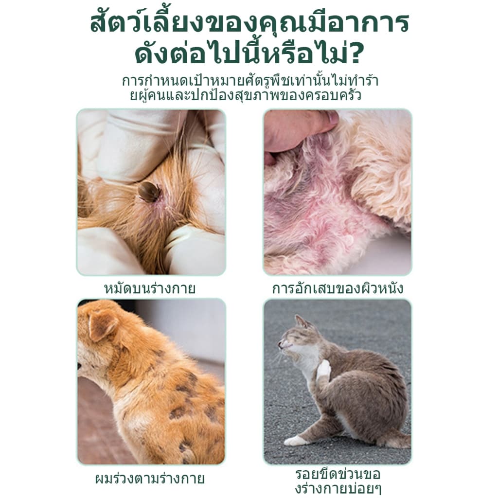 เสียชีวิต 100% ยาฆ่าเห็บหมัด สเปรย์กำจัดเห็บ กำจัดเหาไรเห็บ หมัด การฆ่าหมัดใน1 วิ ไม่ทำร้ายสัตว์เลี้ย 300ml ส่วนผสมจาก รูปที่ 2