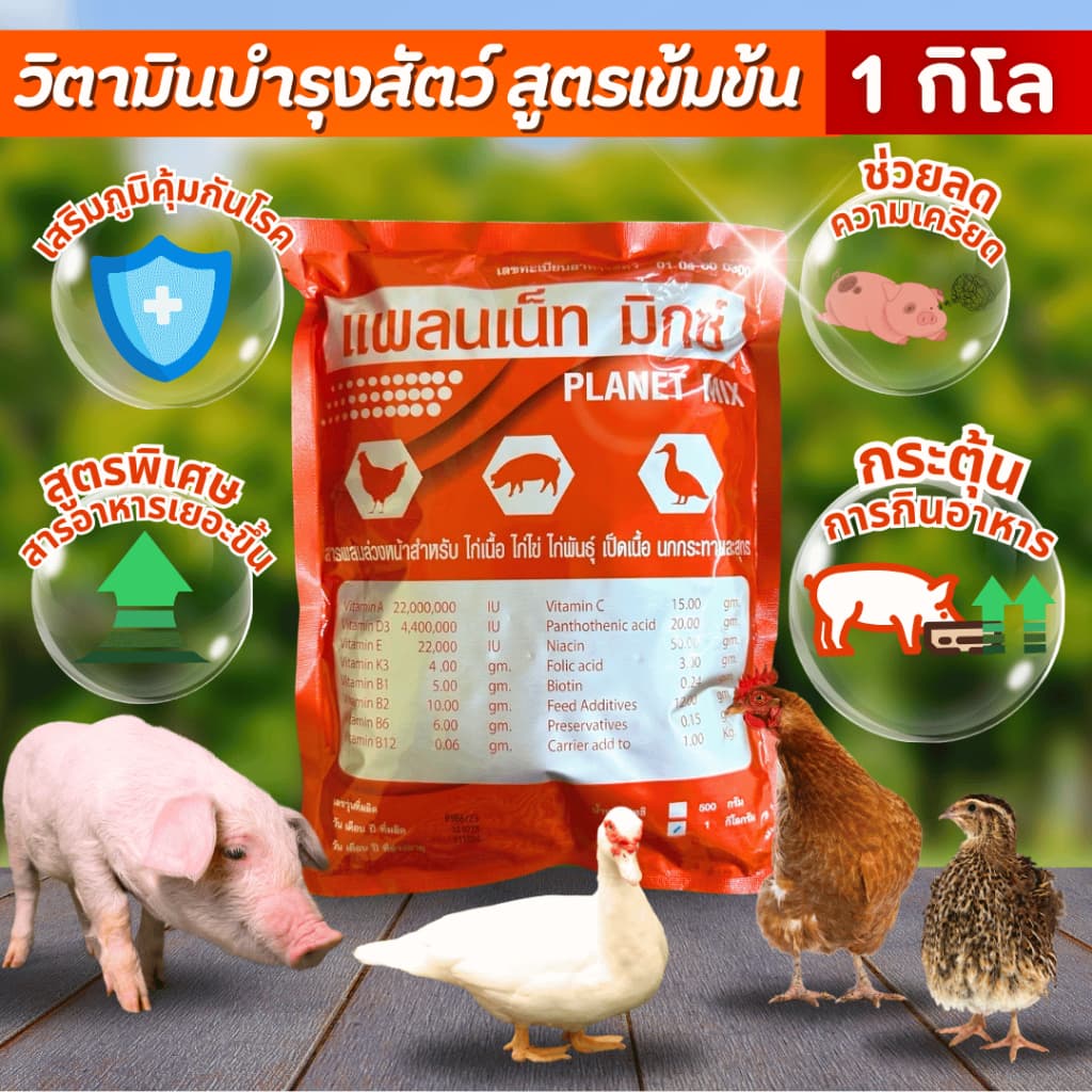 แพลนเน็ท มิกซ์ สูตรพรีเมี่ยม วิตามินบำรุง สูตรเข้มข้นสำหรับไก่ไข่ เป็ด สุกร รูปที่ 3