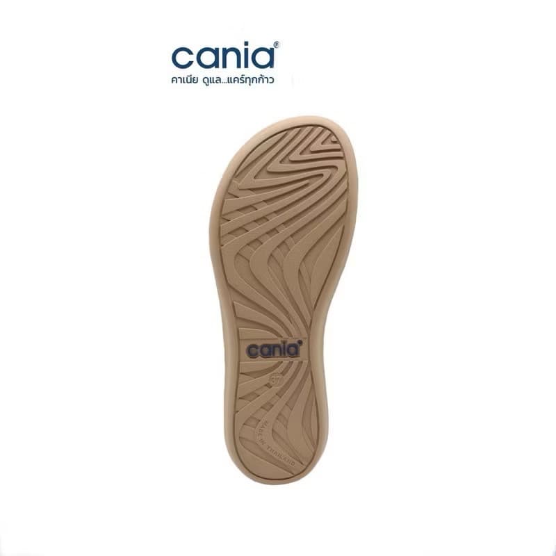 รองเท้าแตะ Cania CW42176 ไซส์ 36-39 รูปที่ 5