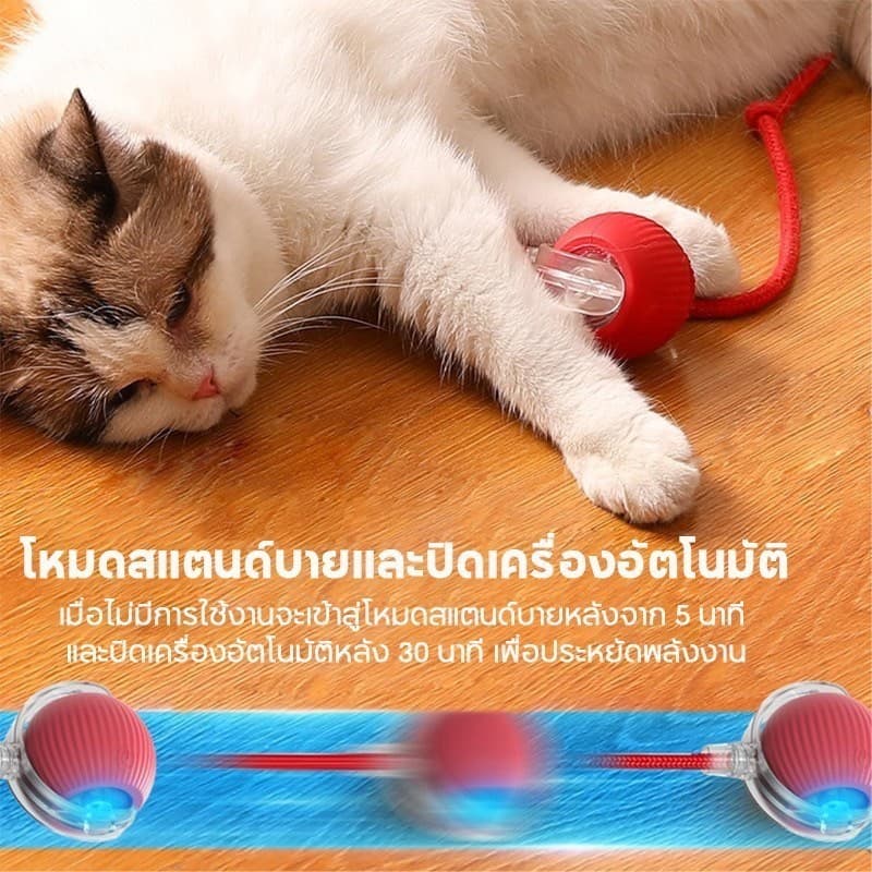 บอลแมวอัตโนมัติ หมุนได้ ชาร์ตแบตได้ โต้ตอบ เรืองแสง ของเล่นสําหรับสัตว์เลี้ยง รูปที่ 4