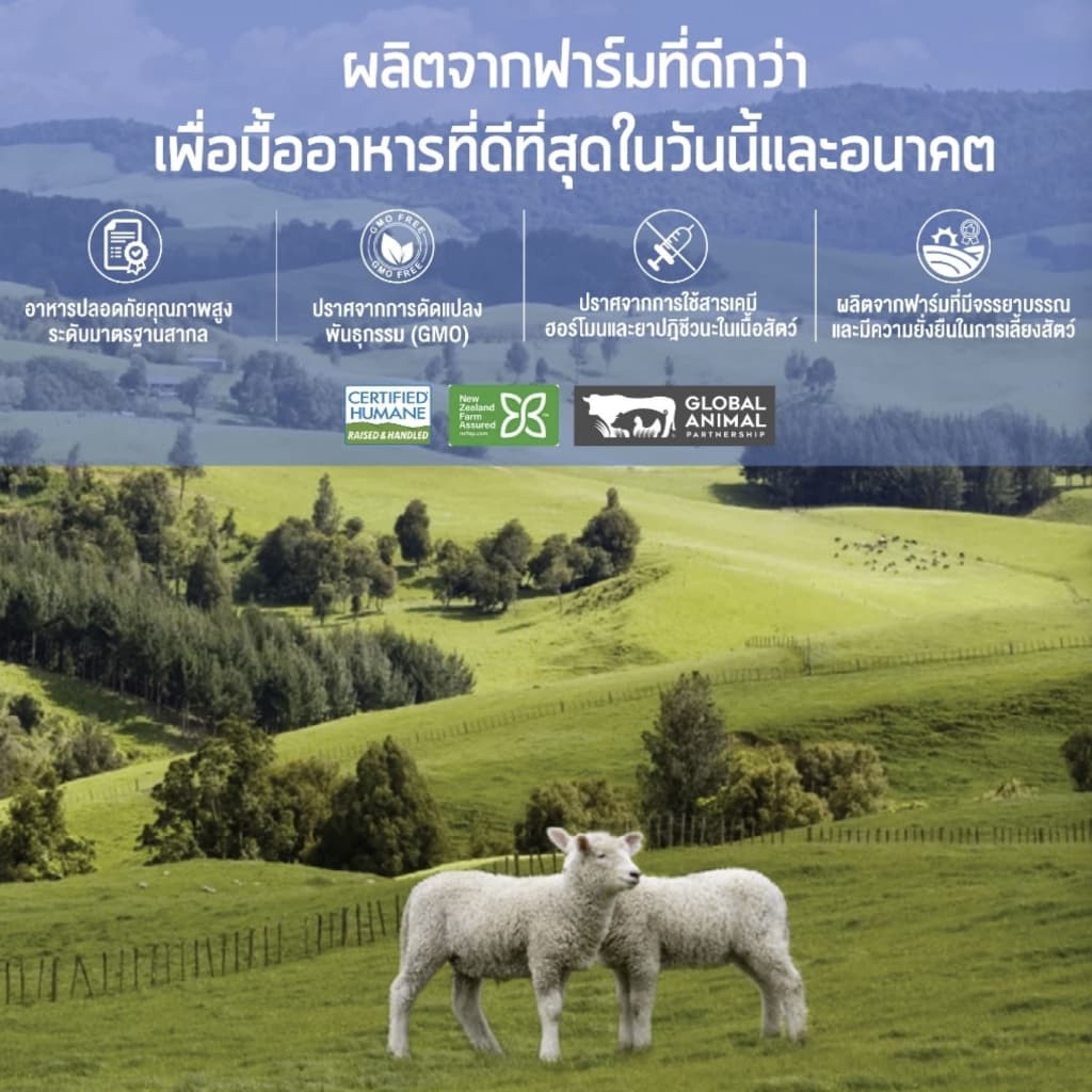 เคลลี่แอนด์โค ดินเนอร์บูสเตอร์ บาลานซ์ ผงโรยเสริมวิตามินและเกลือแร่ 22 ชนิด สำหรับสุนัข 50 กรัม รูปที่ 8