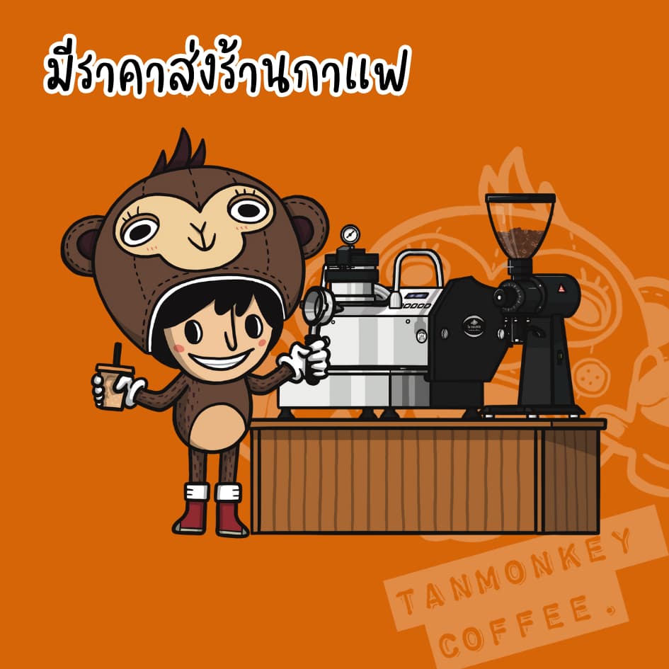 Tanmonkey เมล็ดกาแฟเอธิโอเปีย Ethiopia Guji Jigesa Lionking G1 รูปที่ 4