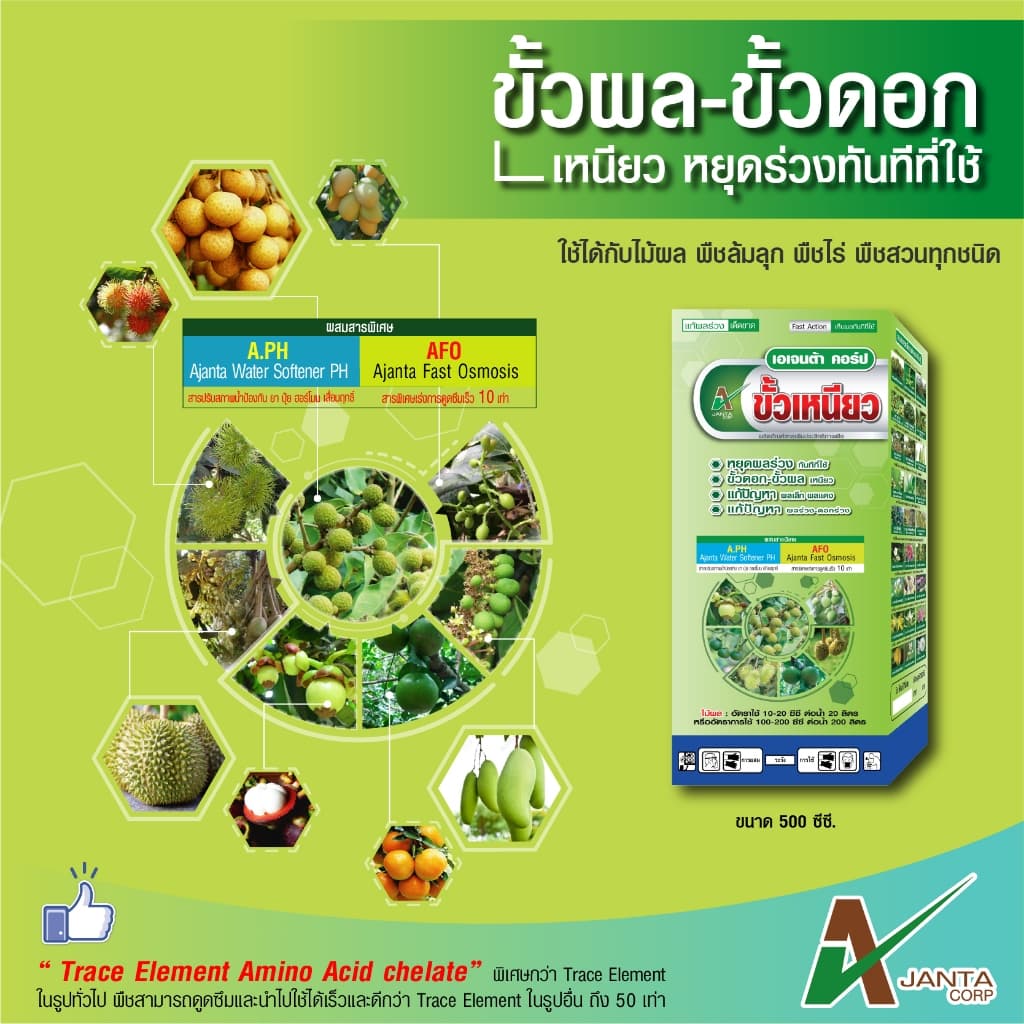ขั้วเหนียว หยุดผลร่วงทันทีที่ใช้ แก้ปัญหาผลเล็ก ผลแดง หยุดดอกร่วง ผลร่วง ขั้วดอก ขั้วผล เหนียว เอเจนต้า คอร์ป รูปที่ 2