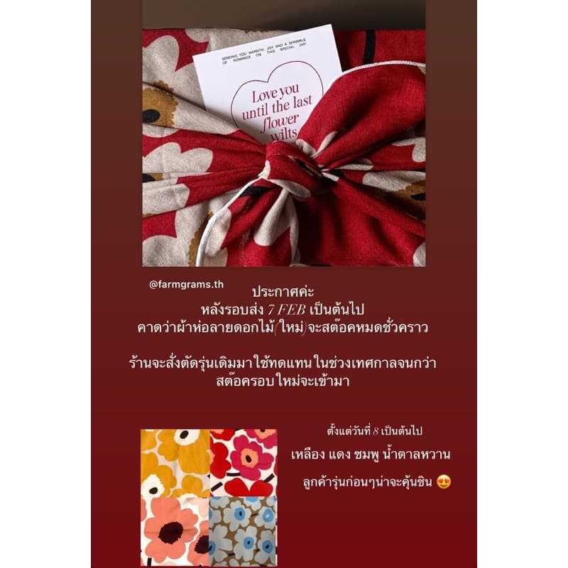 ชุดปลูกของขวัญ GiftBox B กล่องห่อผ้า Furoshiki รูปที่ 2