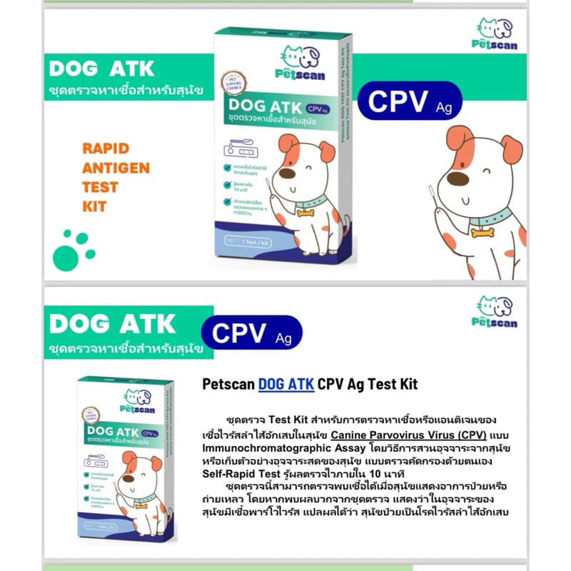 ชุดตรวจ พาโวไวรัสสุนัขCPVและ ไขหัดแมว FPV Test Kit สำหรับการตรวจ ATK หาเชื้อ หมา แมว รูปที่ 5