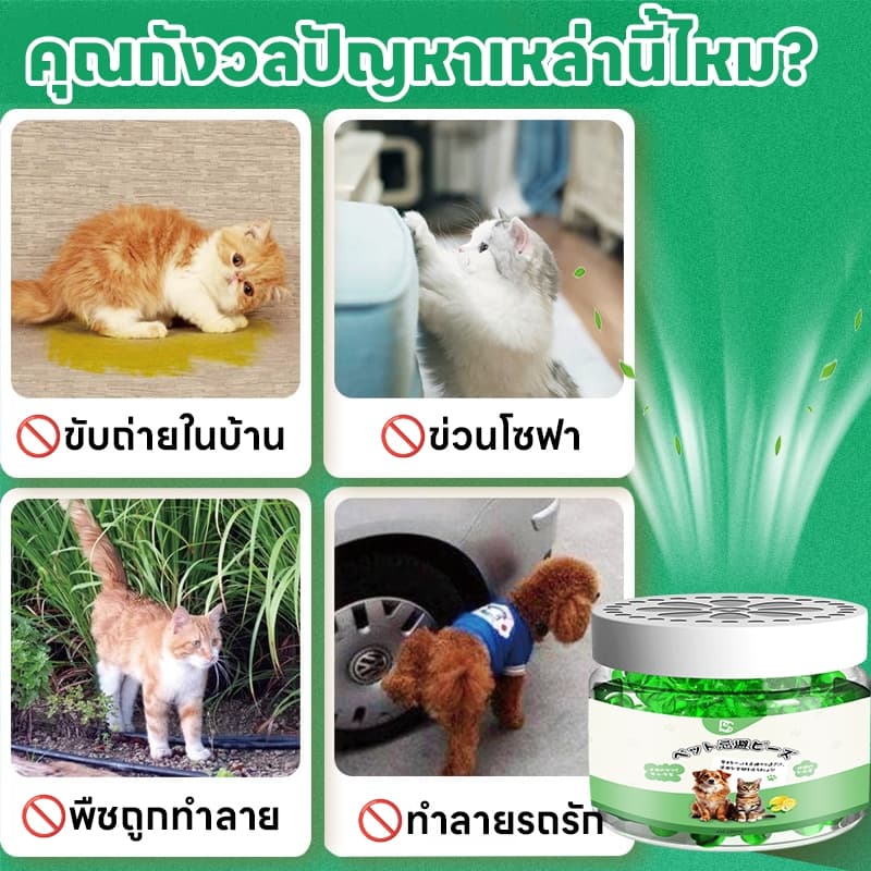 แมวหายไปใน 1 วินาทีSKy ไล่แมว กลิ่นไล่แมว สเปรไล่แมว ไล่แมวขี้ ยาไล่แมว ที่ไล่แมว ซื้อ 1 แถม 1 ใช้งานได้ถึง 360 วัน รูปที่ 2